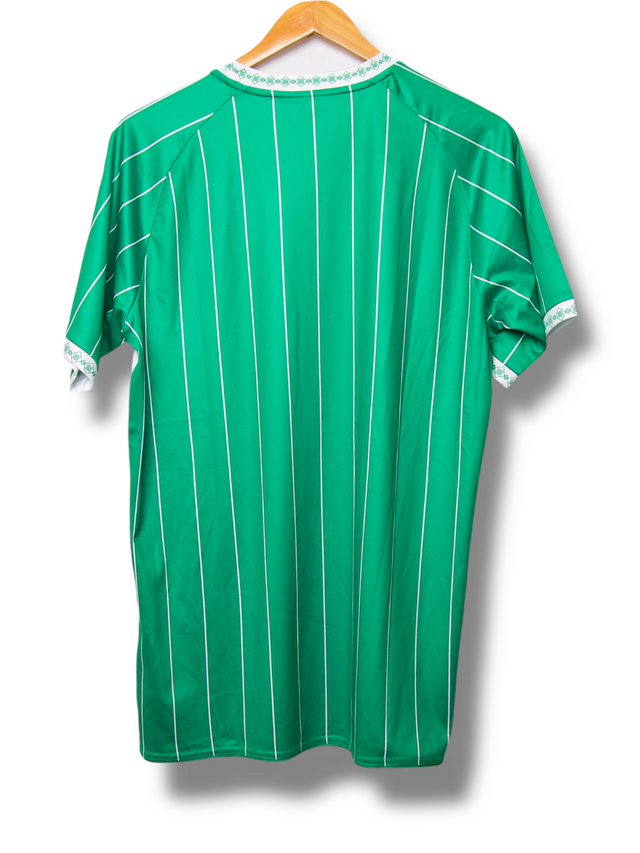 Dordrecht 2024/2025 Thuis Shirt (M)