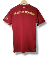 Bayern Munchen 2022/2023 Special Shirt (S)