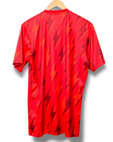Arsenal 2023/2024 Pre Match Shirt (L)