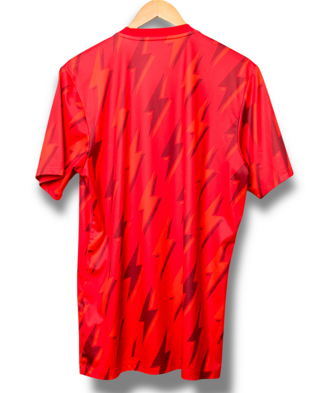 Arsenal 2023/2024 Pre Match Shirt (L)