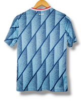 Ajax 2020/2021 Uit Shirt (164)
