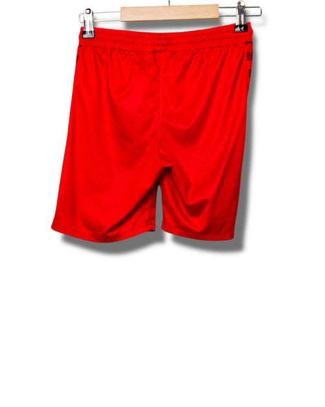 FC Twente 2020/2021 Shorts (128)