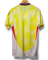 Juventus 2024/2025 Training Shirt (M)