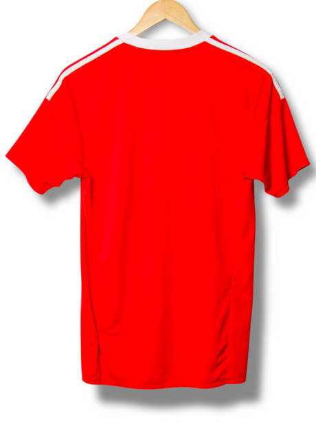 Wales 2016 Home Shirt (S)