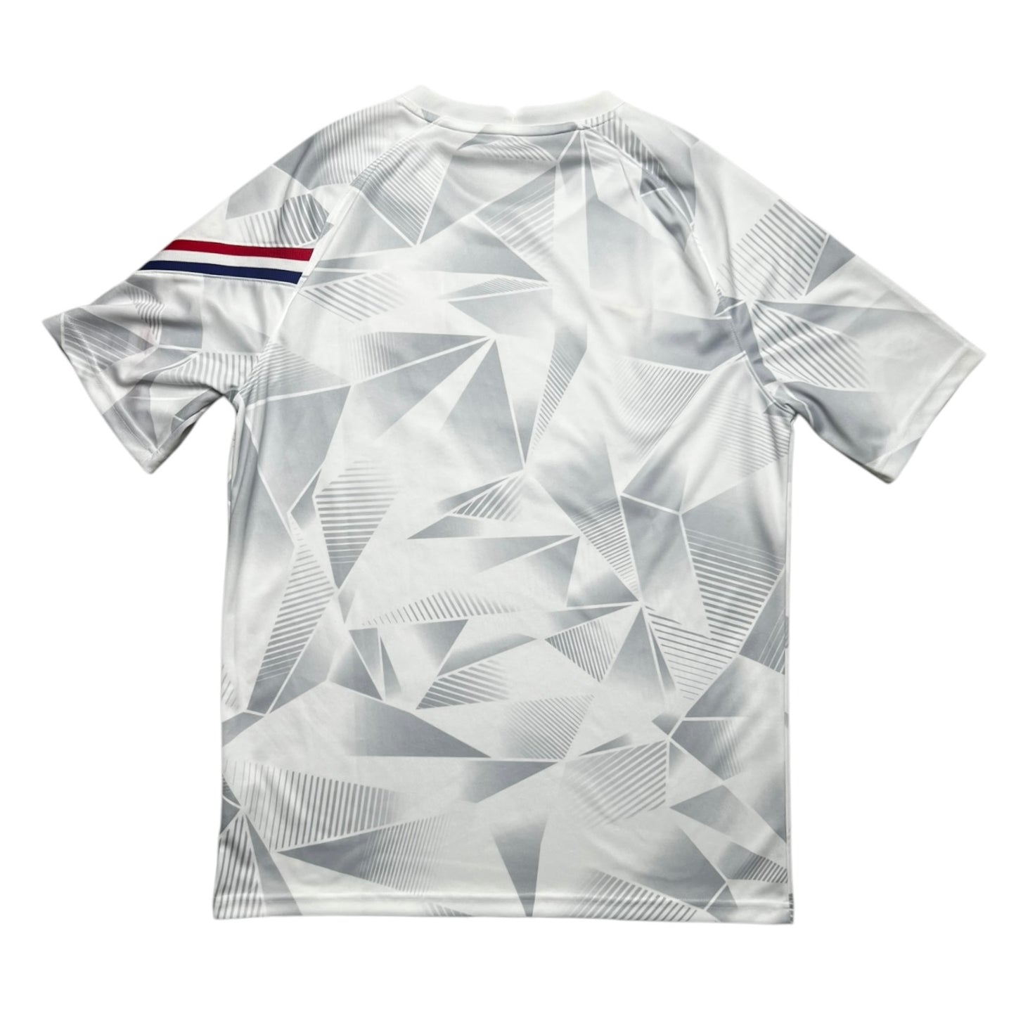 Nederland Pre-Match Shirt 2020 (L)