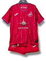 Swansea City 2023/2024 Derde Shirt (100)