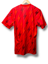 Arsenal 2023/2024 Pre Match Shirt (M)